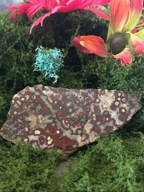 Morgan Hill Poppy Jasper
